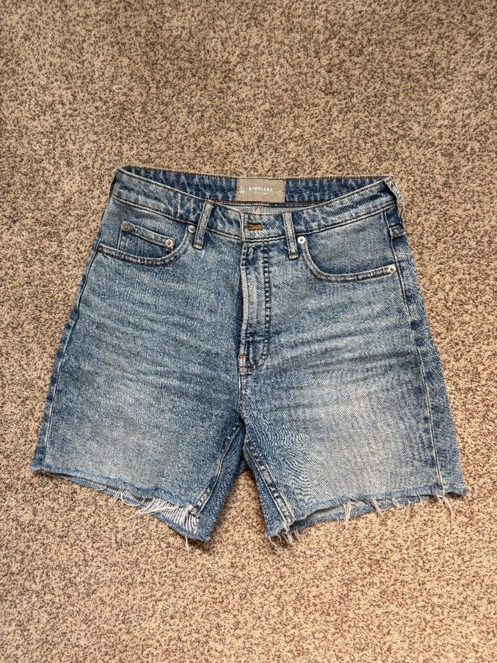 Everlane The Cheeky Short